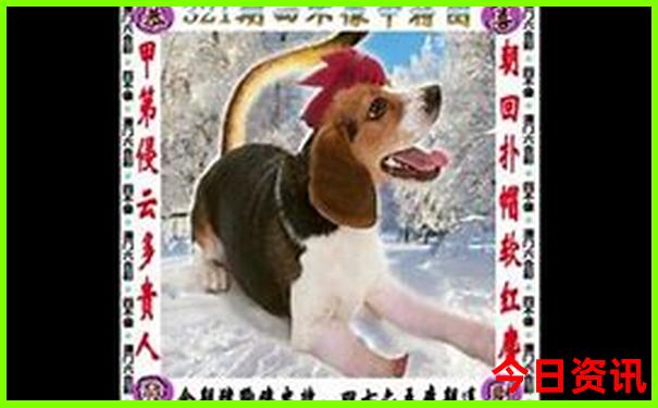 7月哪里凉快旅游